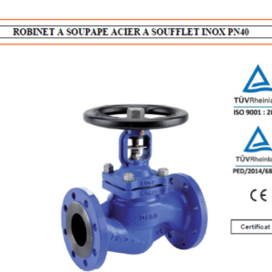 ROBINET A SOUPAPE INOX